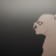 Illustration for article titled iShin Sekai Yori/i is a Great, Believable, Coming of Age Dystopian Anime